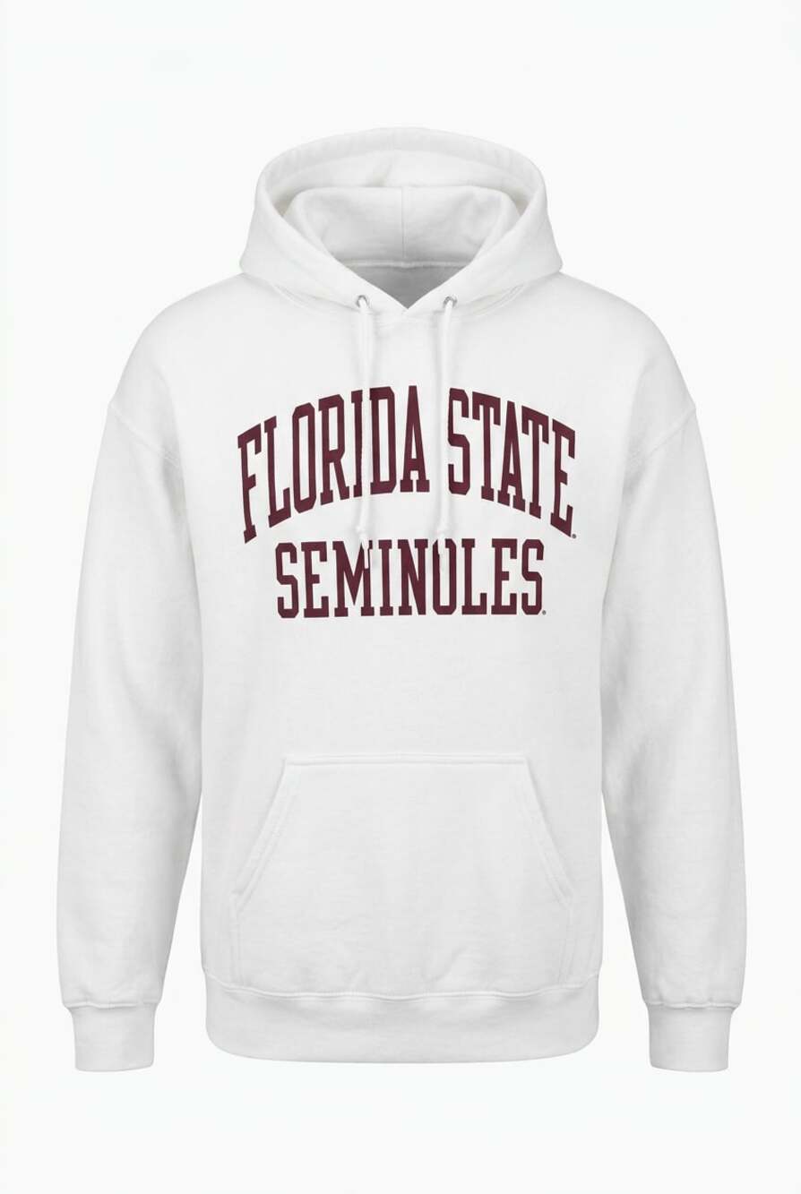 Hanes EcoSmart Florida State Seminoles White Graphic Fleece Pullover Hoodie